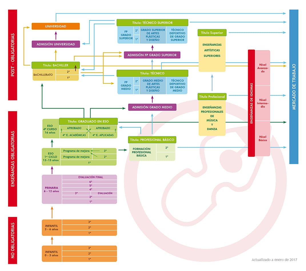 esquema sistema educativo (1)